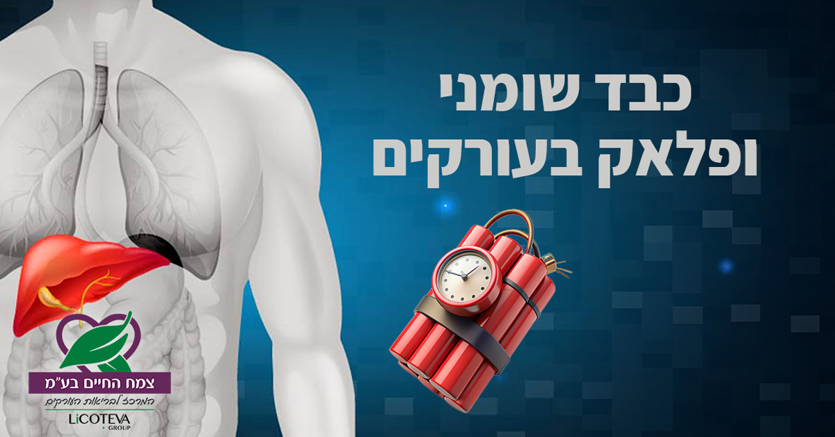 מהי טרשת העורקים (אתרוסקלרוזיס)?