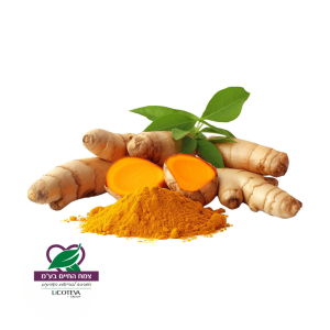 שורש-כורכום-Turmeric-root