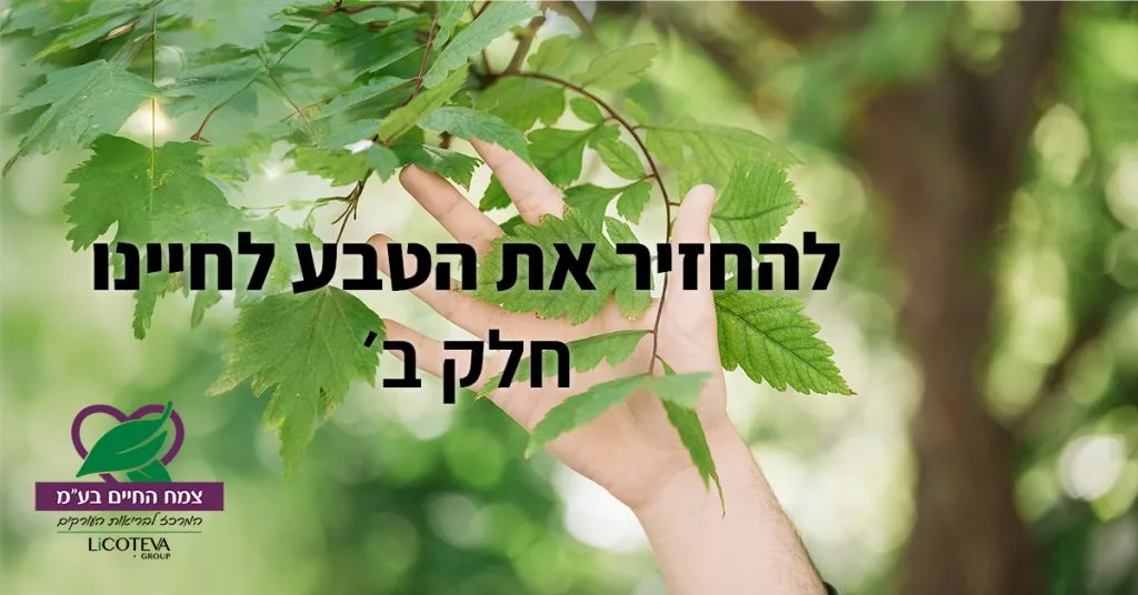 להחזיר את הטבע לחיינו - חלק ב מאמר להחזיר את הטבע לחיינו חלק ב
