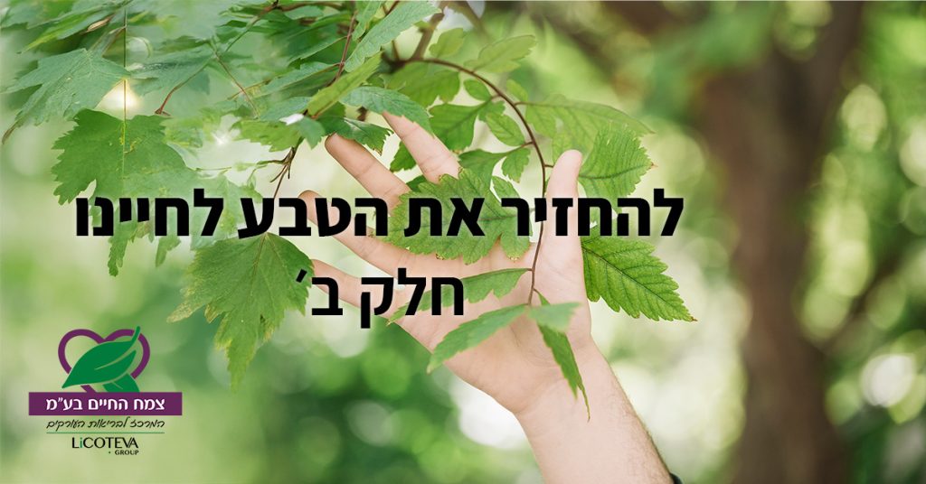 מאמר להחזיר את הטבע לחיינו חלק ב