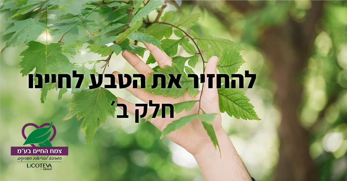 מאמר להחזיר את הטבע לחיינו חלק ב