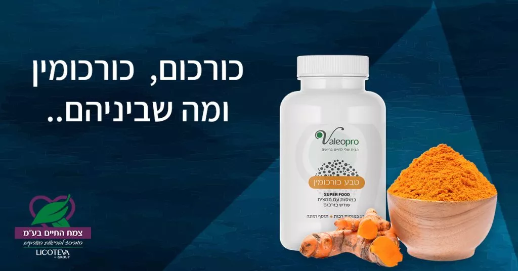 מאמר כורכום כורכומין ומה ביניהם