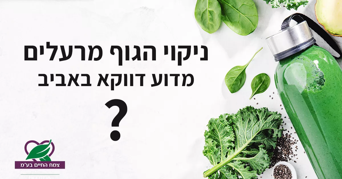 detox essay artical