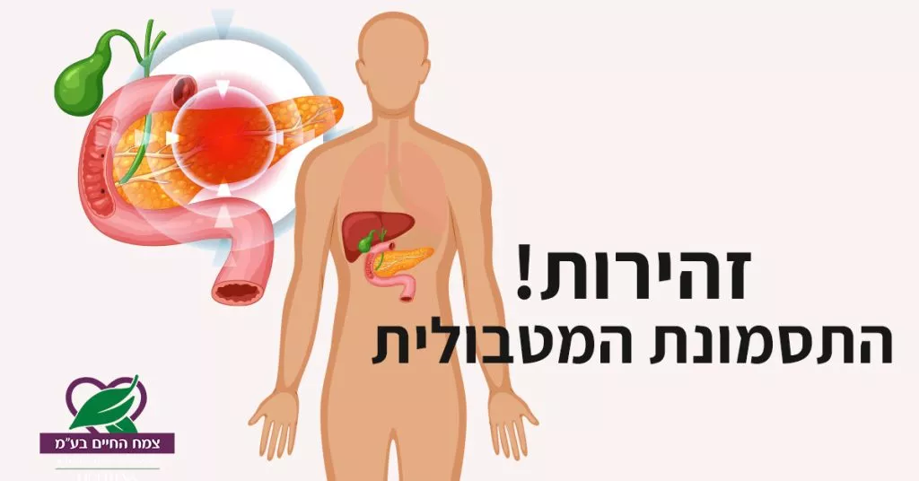 זהירות! התסמונת המטבולית