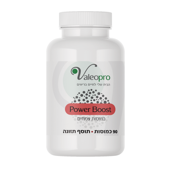 Power Boost - פאוור בוסט 90 כמוסות