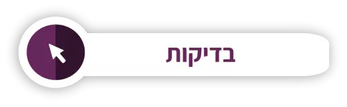 בדיקות